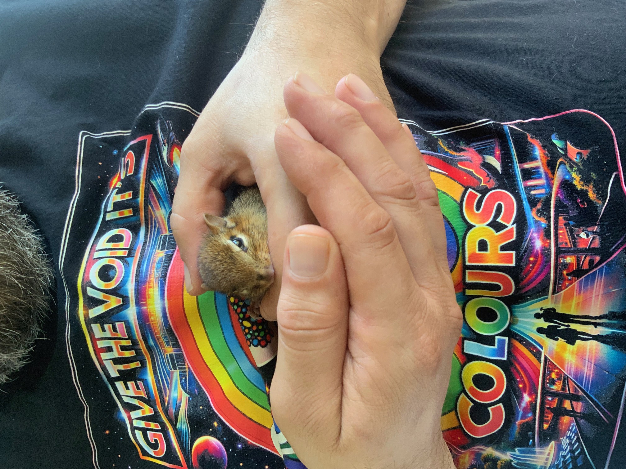 Baby chipmunk held in hand — wearing the Give the Void Its Colours shirt